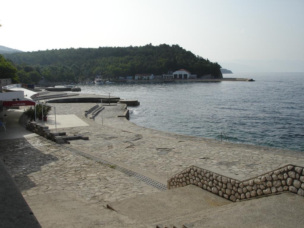 Petricevic 2